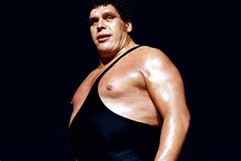 André the giant was a french professional wrestler and actor. Hi, My Name is: Andre the Giant - Cageside Seats