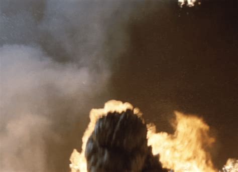 We hope you enjoy our growing collection of hd images to use as a background or home screen for your smartphone or computer. citystompers1: "Godzilla vs. Mechagodzilla (1974) " | Godzilla, Godzilla vs, Movie monsters