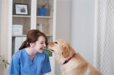 When you walk through our doors, you will always be greeted by name. Dog Boarding | Oakland Park Vet | Veterinarian | Vet ...