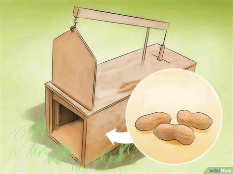 There is no need to kill them with traps or shooting them or any. 3 manières de vous débarrassez des tamias - wikiHow