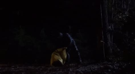 We did not find results for: Friday The 13Th Kill GIF - Find & Share on GIPHY