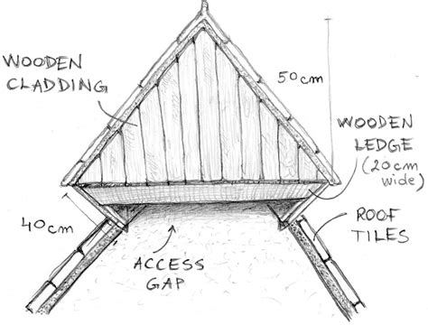 Providing a simple barn swallow nest box on a vertical wall in the right environment, with a source of mud and a source of food nearby, is all that is necessary to support the birds in your area. Swallow Nest Site Mitigation - Acer Ecology