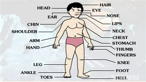 Traditional tamil grammar consists of five parts, namely ezhuththu, sol, porul, yāppu, and aṇi. Pin on (1) ESTHER MARIA SANTIAGO'S LATIN AMERICAN TUTORIAL ...