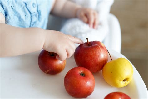 Wenn sie ihrem kind auch die haare waschen möchten, denken sie daran, dies zu tun, bevor sie ihm neue wäsche anziehen. Ab wann dürfen Babys Apfel essen? | Babyled Weaning