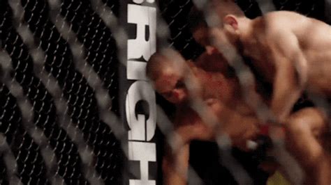 We would like to show you a description here but the site won't allow us. khabib gif | Tumblr