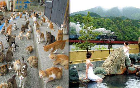 Kumpulan gang ini melestarikan beberapa tempat yang paling tradisional dan menarik di osaka. 8 Lokasi Wajib Dilawati Di Jepun | Iluminasi