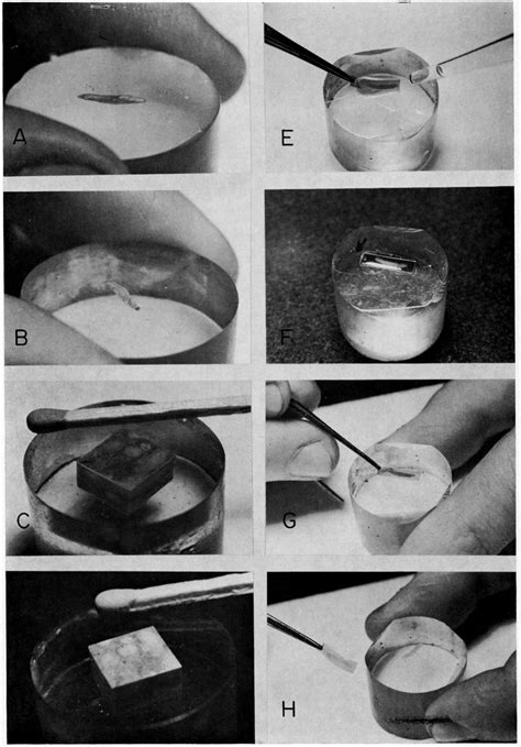 We believe in helping you find the product that is right for you. KGS--Bull. 165, pt. 6--New Serial Micropeel Technique