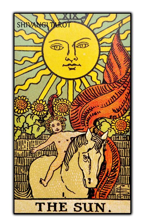 You are going to have your day in the sun. Best Tarot Reader India | The sun tarot card, The sun ...