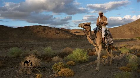 The llama, the alpaca, the guanaco. Desert gallery | Go Tell It on the Mountain