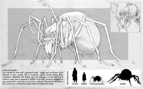 In total, approximately 32 different species of black widow are believed to exist, worldwide, including the southern and western black widow varieties. Mirkwood Spider origin and size comparison!!! | The hobbit, Spider, Digital artist