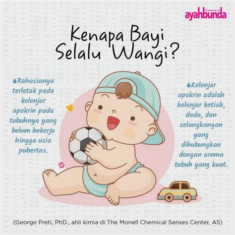 Ipa terpadu kelas ciri pubertas pada laki laki. Poster Pubertas Simple - Gambaran