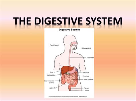 Gallbladder removal surgery, also known as a cholecystectomy, is a very common procedure. Dgizmo Galbladder / Bladder Stones Explore Tumblr Posts ...