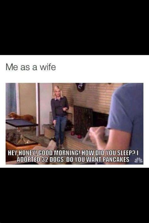 Check out these funny wife memes and see which you most relate with. Me as a wife | Funny pictures, Laughter, Crazy dog lady