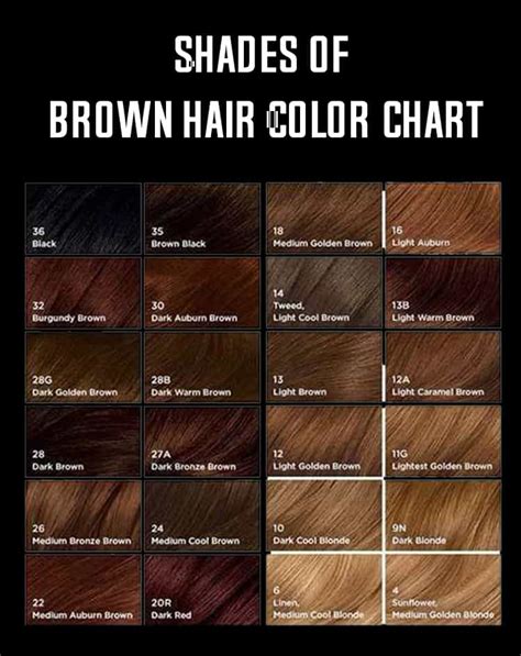 It's also important to consider your hair colour history as tint cannot lift existing tint. Shades Of Brown Hair Color