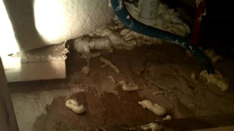 Need a hotel with an in room hot tub in memphis, tn? Hazards under whirlpool tub found by Franklin TN A+ Home ...