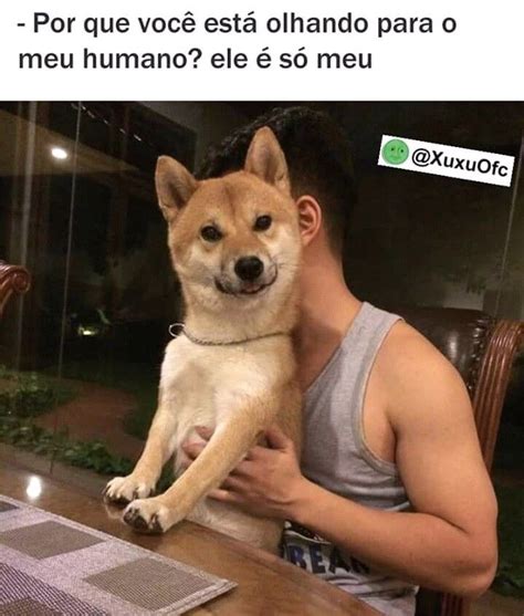 É justo que eu leve o seu coracáo para substituir que vocé destruiu! Pin de Jea9Emma . em AAAAAA | Memes engraçados, Memes de ...