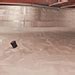 Homeadvisor's basement waterproofing and foundation sealing cost guide delivers average price estimates for interior and exterior basement, crawlspace, foundation, or cellar sealing and tanking. Basement Waterproofing and Foundation Repair in Chicagoland