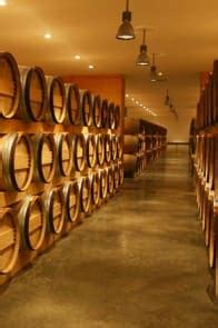 Château gloria 2009 presenta un color rojo brillante nariz: Château Gloria Saint-Julien rouge 2016 | 1jour1vin.com