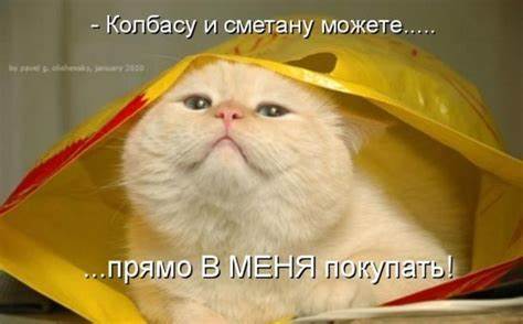 Как похудеть за 21 день на 7 кг