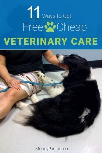 If your pet needs an expensive medical treatment or you're struggling to cover the cost of an appointment, discuss the situation with your veterinarian. 11 Ways to Get Free or Cheap Vet Care Near Me! | Dog ...