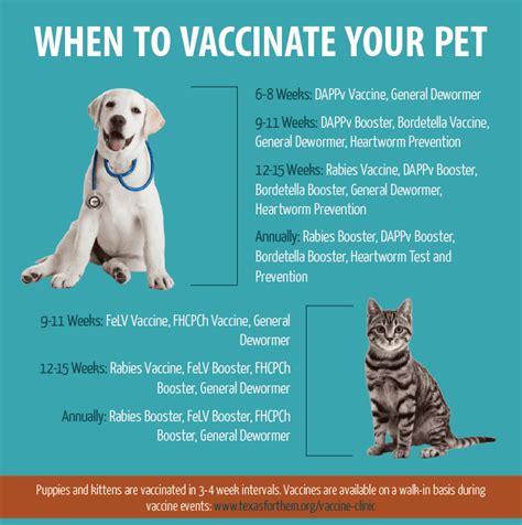 Today, most major organizations including outdoor cats need more shots than indoor cats. Does My Pet Need Annual Shots? | The Animal Hospital of ...