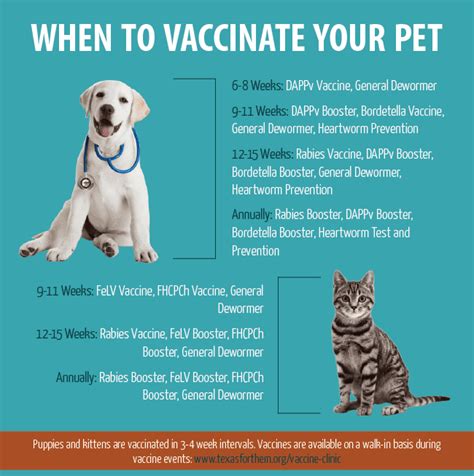 I know shots can cause side effects so i wasn't sure. Does My Pet Need Annual Shots? | The Animal Hospital of ...