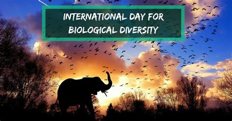 In december 2000, however, the un general assembly changed the date to may 22. International Day for Biological Diversity - I Love Veterinary