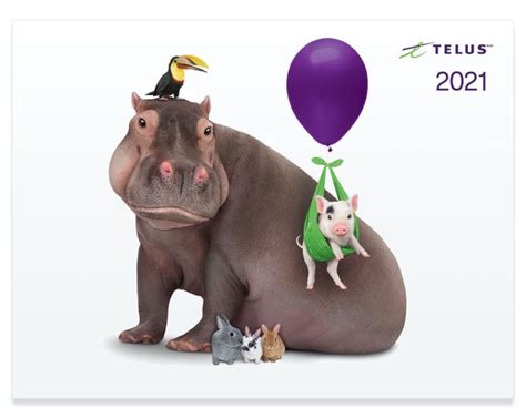 Use these vpn ad blockers to stop dangerous ads and malware. Free 2021 Telus Calendar Now Available to Order | iPhone ...