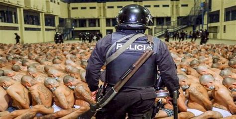 السلفادور كولون ينقسم 100 centavos. رئيس السلفادور أبو كيلة يتعرض لانتقادات بعد نشر صور صادمة ...