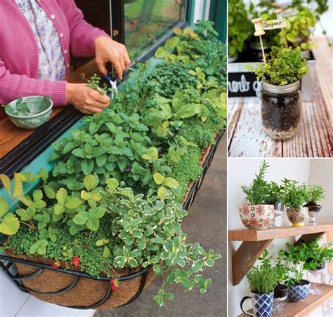 Explore the beautiful herb garden ideas photo gallery and find out exactly why houzz is the best experience for home renovation and design. 12 Cool Small Herb Gardens That Won't Take Much Space