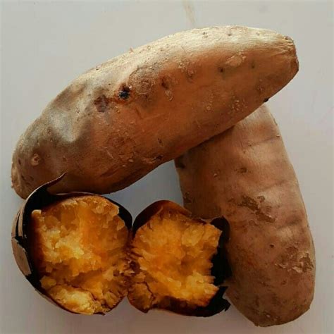 Cara mengolah ubi madu agar menghasilkan ubi yang manis seperti madu, ubi madu,ubi madu oven,ubi. Olahan Dari Ubi Cilembu : Jual Ubi Madu Cilembu Matang Per ...