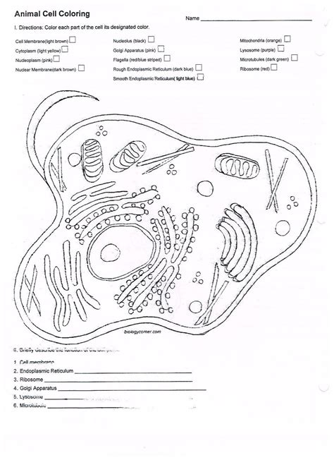They compare the animal cell to a plant cell and learn how the organelles function within the cell. Biology Corner Animal Cell Coloring Answer Key - coloring ...