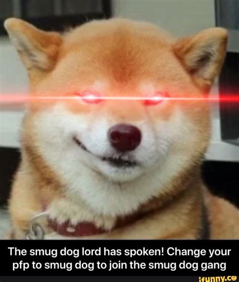 Download meme pfp aesthetic | png &. 25+ Best Looking For Dog Memes Pfp - Romance Movies