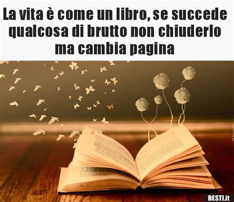 Sa che viene generalmente considerata una signora tranquilla e prevedibile, persino un po' ingenua, e di solito fingere di adeguarsi a questo stereotipo la diverte. La vita è come un libro, se succede qualcosa di brutto non ...