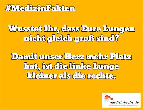 2.sie muss die wirtschaftspolitik der regierung zu unterstützen. Wir wünschen Euch einen schönen Start in die Woche 😊 #Montag #MedizinFakten #Lunge #Herz # ...