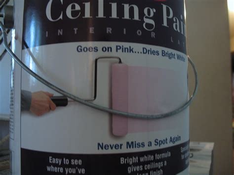 Check spelling or type a new query. Pink Ceiling Paint | It turned white pretty fast. | John ...