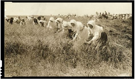 Italia va activa așa numitele coridoare verzi pentru muncitorii sezonieri din agricultură, românii fiind așteptați să vină în număr mare, după ce mâna de lucru din românia este deja exportată în. Grâul roșu de Botoșani, o legendă a agriculturii românești ...