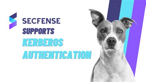 As mentioned above, the kerberos authentication model is based on the needham and schroeder key distribution protocol. Secfense Supports Kerberos Authentication