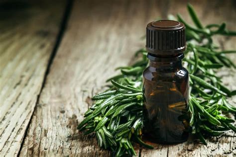 Household uses for tea tree oil. 25 Uses for Tea Tree Oil | Keeper of the Home