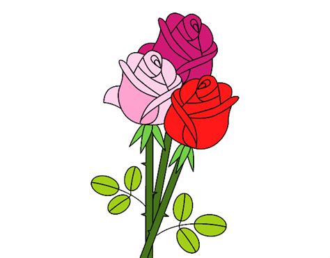 Puntuali nella consegna fiori a domicilio e creativi nelle composizioni floreali. Disegno Un mazzo di rose colorato da Utente non registrato ...