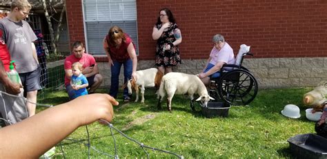 Off leash park, human friendly exotic birds, dogs, animals to play with. Mobile Petting Zoo Party - Farm Animal Petting Zoo -Dallas ...