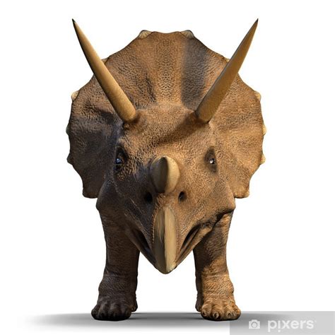 Entrá y conocé nuestras increíbles ofertas y promociones. Vinilo Pixerstick 3d Triceratops dinosaurio en la cara ...