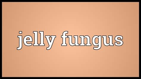 In some cases, though, you're dealing with a lawn disease caused by a fungal outbreak that requires more than just maintenance. Jelly fungus Meaning - YouTube