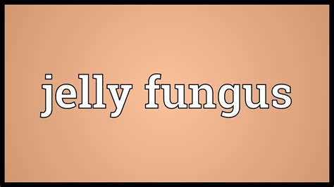 Maybe you would like to learn more about one of these? Jelly fungus Meaning - YouTube