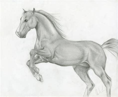Draw a line, which will act as the center of its head. Horse Run by Bluesky21543 on DeviantArt