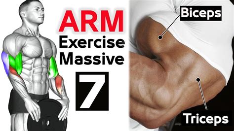 ممارسة تمارين خفيفة بعد تناول الطعام. 7 تمارين الدراع كاملة (جدول تدريبي) كمال الاجسام - Arm Workout