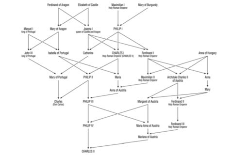 This is a family tree of the habsburg family. The rampant consanguinity in the Spanish branch of the ...