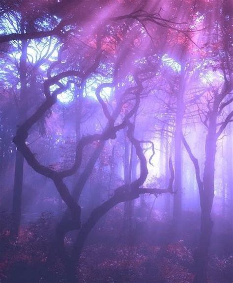 Free download periwinkle hd wallpapers. follow me @PEACHESSBABY | Magic aesthetic, Violet ...