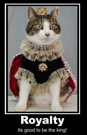 To earn the love of a cat is like no other, and these cat quotes will speak right to your crazy cat lover heart. Cat Quotes & Jokes - Page 2