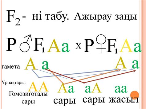 Тұқым қуалайтын белгілердің тәуелсіздік заңы. Моногибридті будандастыру. Гибридологиялық зерттеу әдісі ...